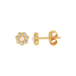 Ear Studs New Design