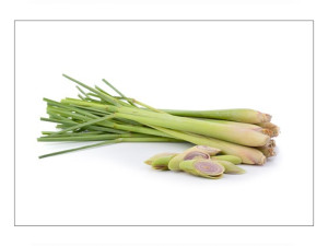 Lemongrass and Citronella (Sera)